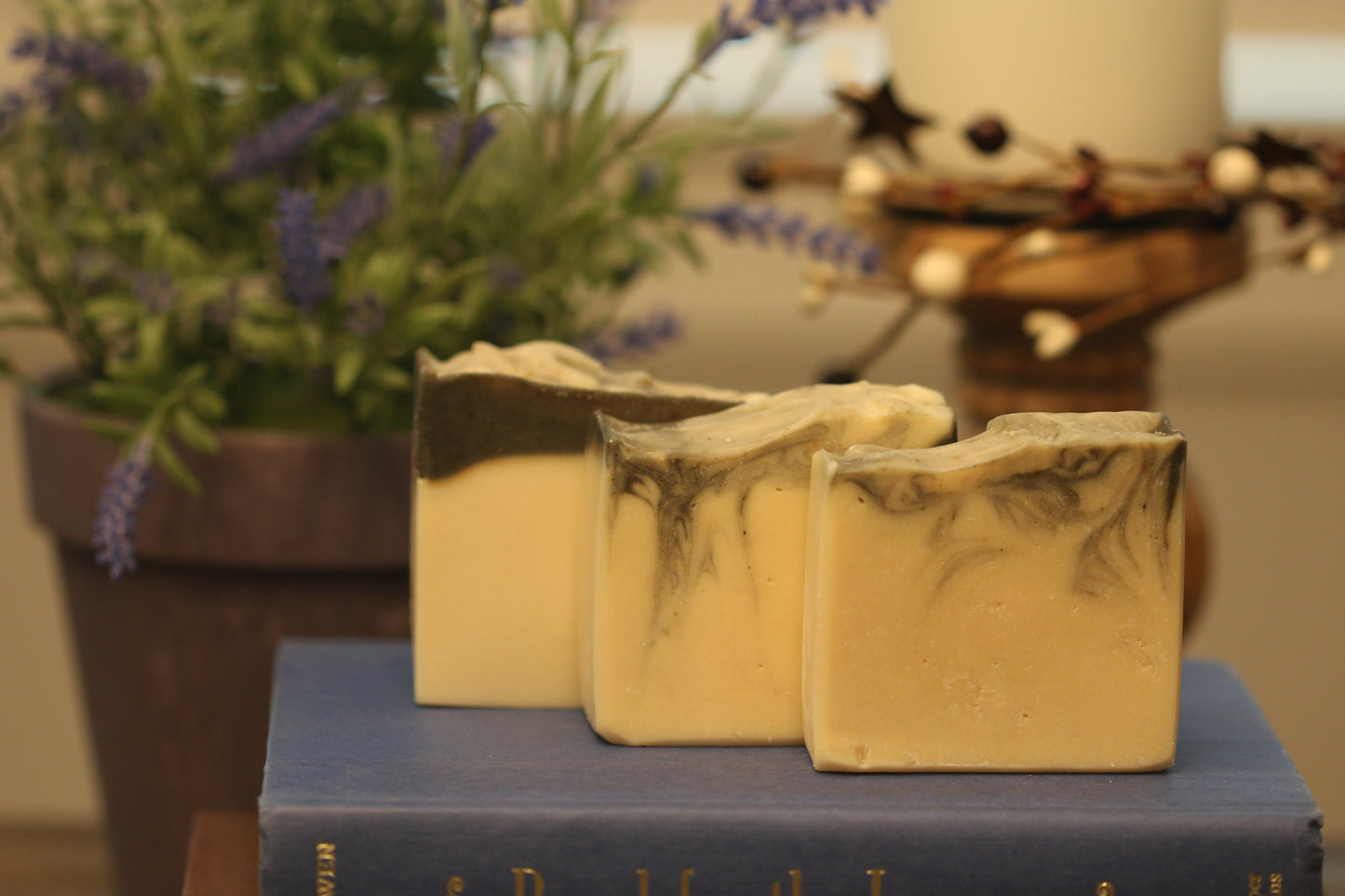 *New! Activated Charcoal Tallow Bar Soap with Goat Milk & Honey